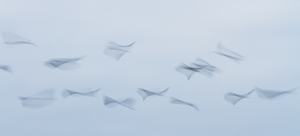 Fliegende Wellen