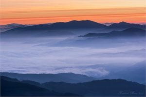 Herbstnebel