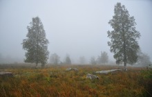 Landschaft im Morgennebel