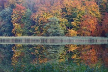 Im Herbstkleid