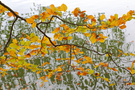 Herbstimpression vom Grünower See