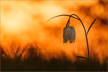 Ein bisschen Farbe