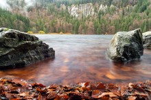 Am Feldsee