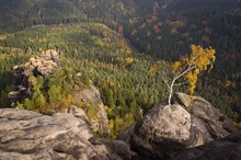 Blick aus der Häntschel Steige