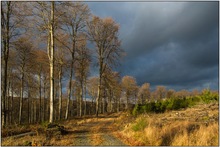 Nach dem Regenschauer