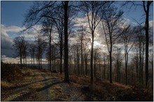 Nach dem Regenschauer II