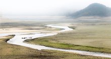 Fluss im Morgennebel