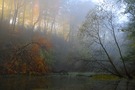 Nebelmorgen am Waldteich