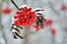 -Winterzauber -