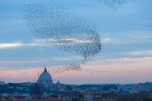 Rauchwolke über San Pietro