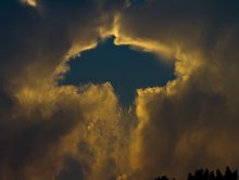 Bussard spielt mit den Wolken