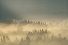 Nebel in den Tälern