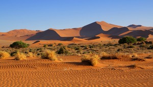 Die Schönheit der Wüste