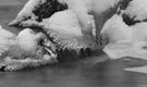 Eisbach