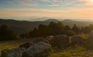 Morgens ganz früh in der Provence