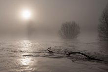 Hochwasser an der Donau