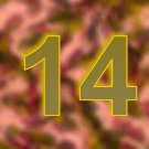 Die Last des Winters...