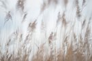 In den Wind geflüstert