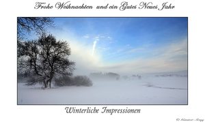 Weihnachtsgrüße an Alle....