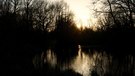 Sonne überm Teich