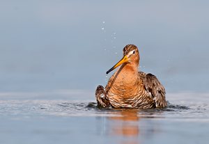 Winterzeit ist Aufräumzeit