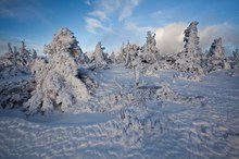 Schneeparadies Riesengebirge