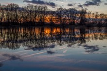 Die Elbaue bei Grödel kurz nach Sonnenuntergang II