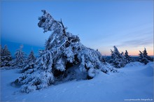 Ein Hauch Winter