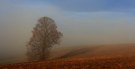 Landschaft im Nebel