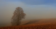 Landschaft im Nebel