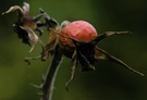 Herbstfarben