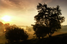 Endlich Herbst