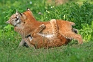 Flotter Dreier