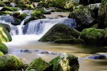 Auschnitt aus der Steinklamm