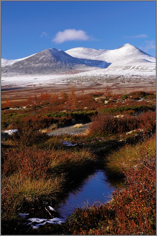 Rondane II