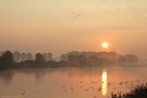 Am Fischteich