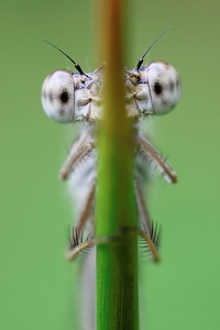 Punkt Punkt Komma Strich…