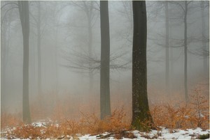 Ein bisschen Winter ...