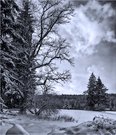 Winter ...