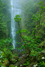 Wasserfall...