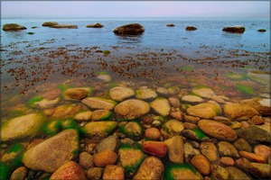 Ostsee, Rügen 5/2012