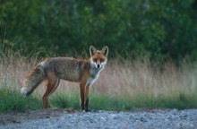 Am Schotterweg