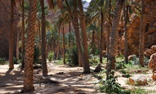 Wadi Shab