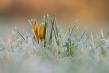 Früh morgens auf dem Friedhof...