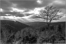 Blick ins Sauerland bei Milchenbach