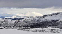 In Lappland über der Baumgrenze