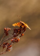 Ein warmes Sonnenbad Anfang März