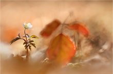 Frühling trifft Herbst