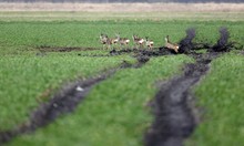 "Wege übers Land"....