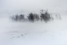 Schneesturm im März